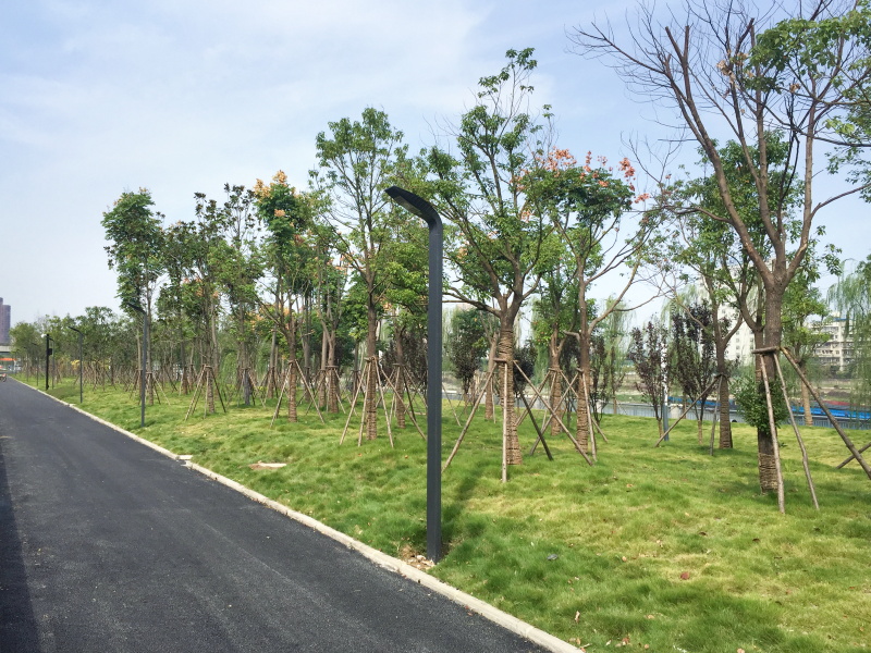 利发国际|Home