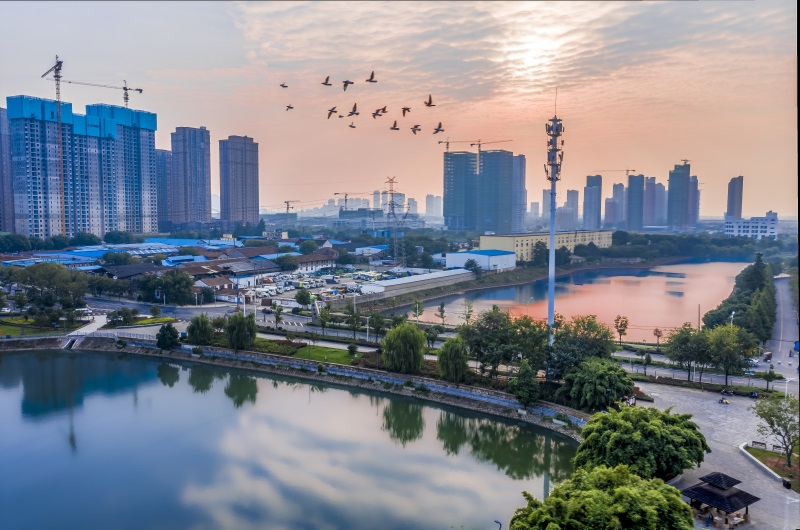 利发国际|Home