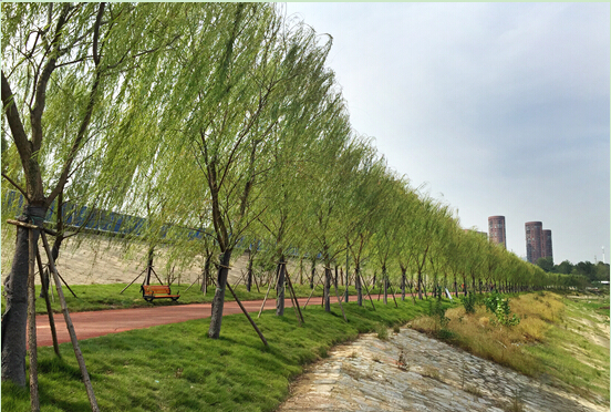 利发国际|Home