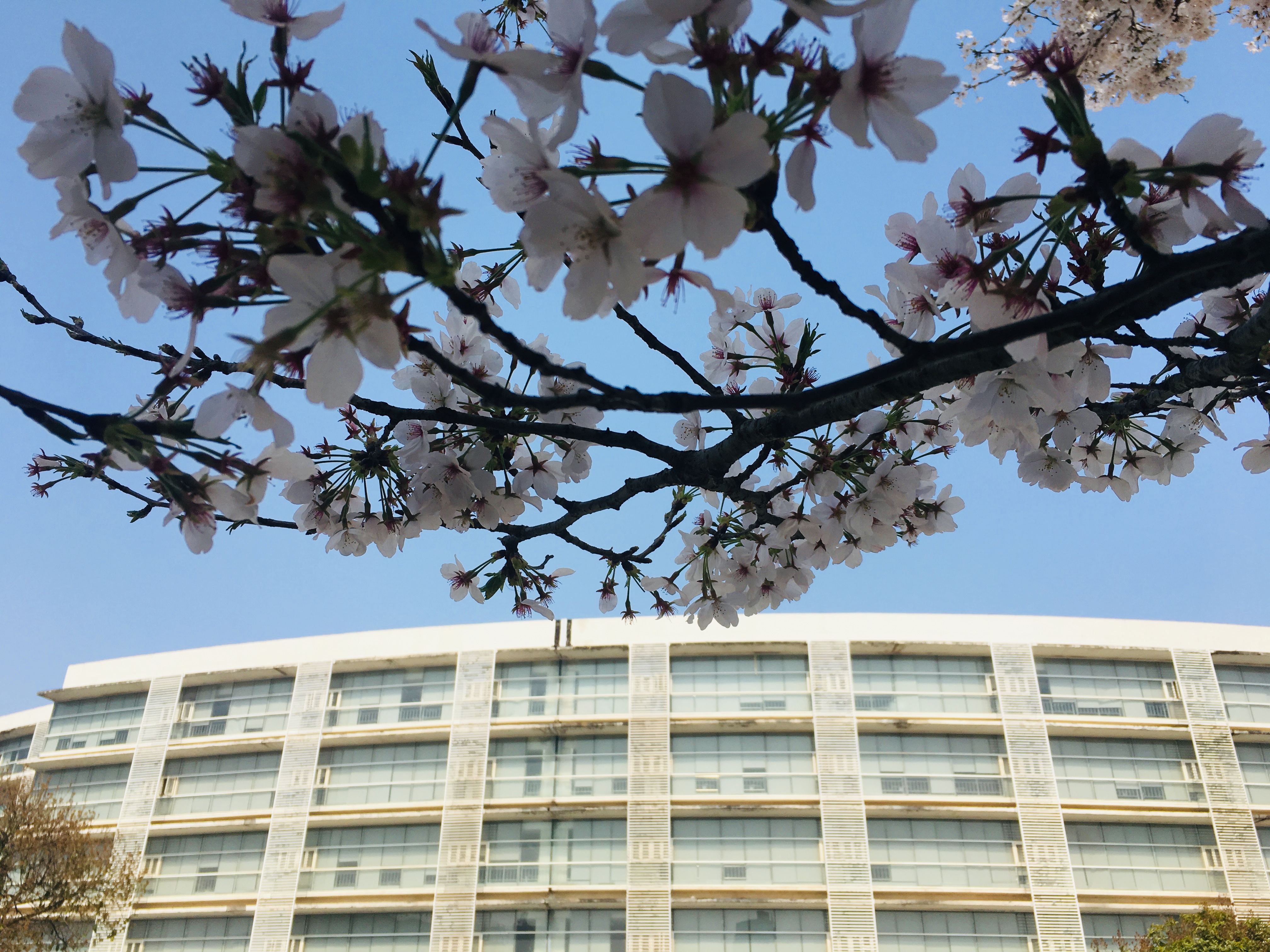 利发国际|Home